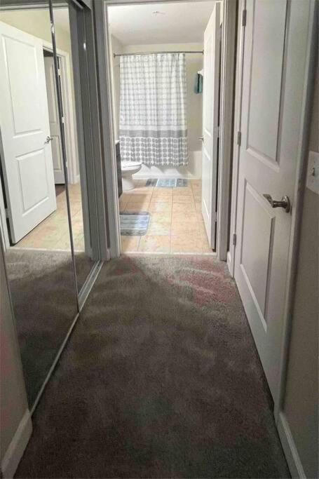 Blooming Journey In Tampa Bay! Apartment ภายนอก รูปภาพ